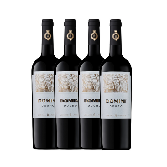 Dynamic Douro Bundle