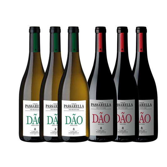 Dual Dão Bundle